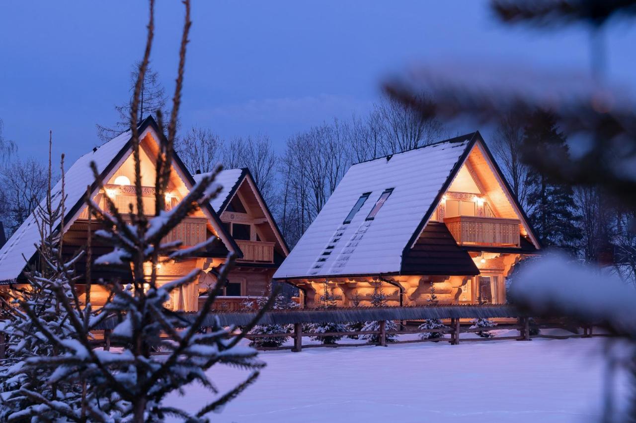 Sniezna Dolina - Sobiczkowa Bor Luxury Chalets コシチェリスコ エクステリア 写真