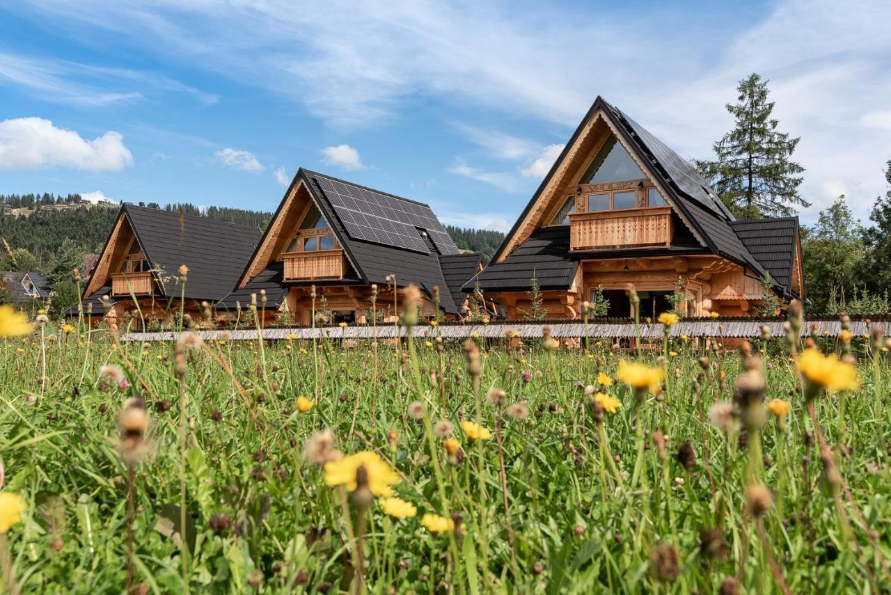 Sniezna Dolina - Sobiczkowa Bor Luxury Chalets コシチェリスコ エクステリア 写真